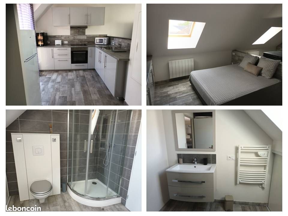 Tres joli loft entierement meuble (image 2)