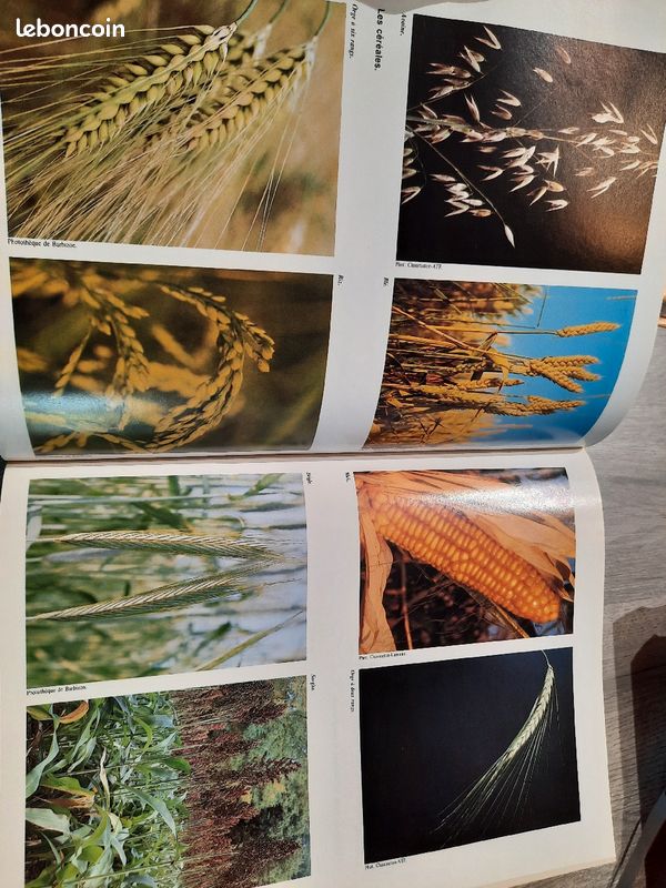 Livre agricole (image 3)
