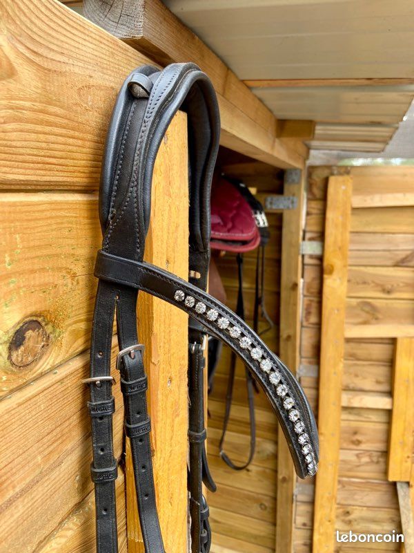 Bridon cheval (image 3)