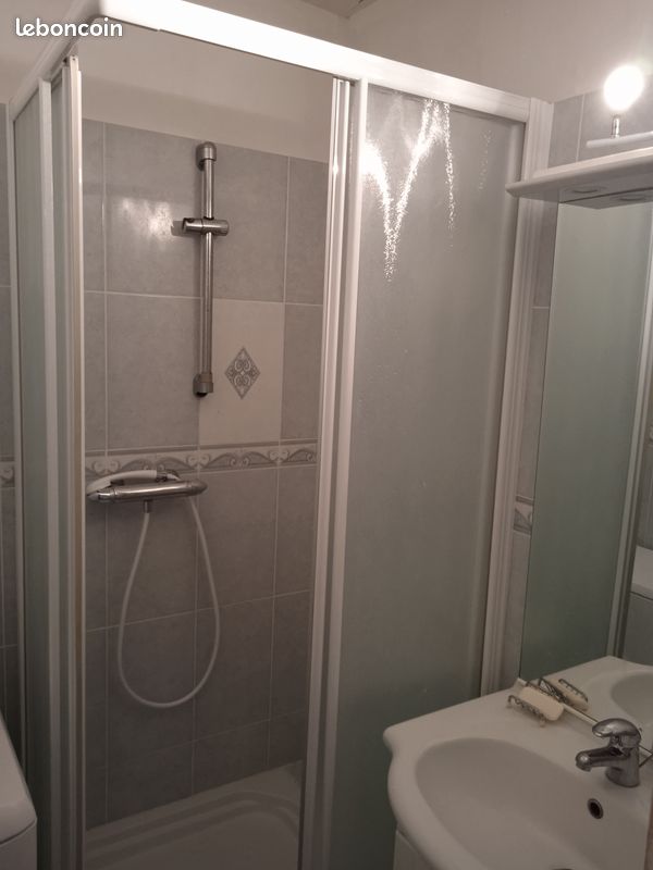 Appartement 2 pièces à 200m de la Plage des Demoiselles (image 6)