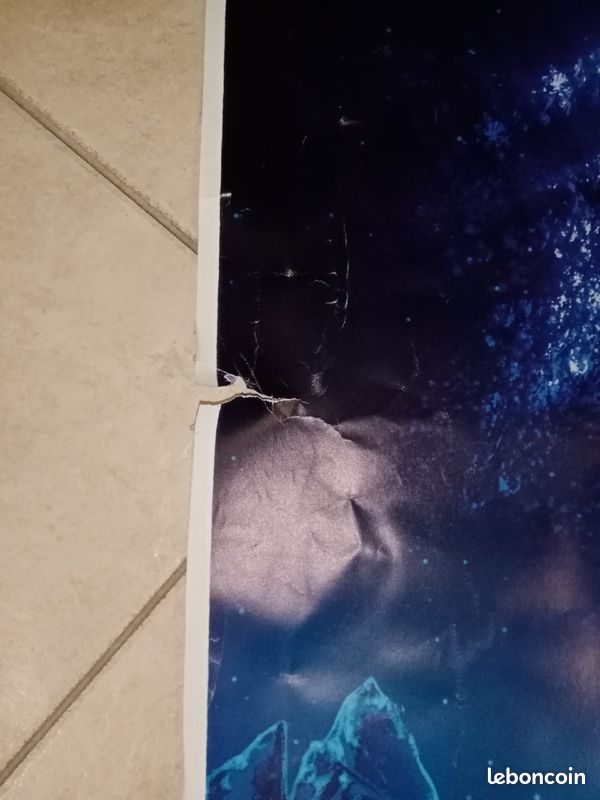 Affiche Disney La Reine des Neiges format XXL (image 3)