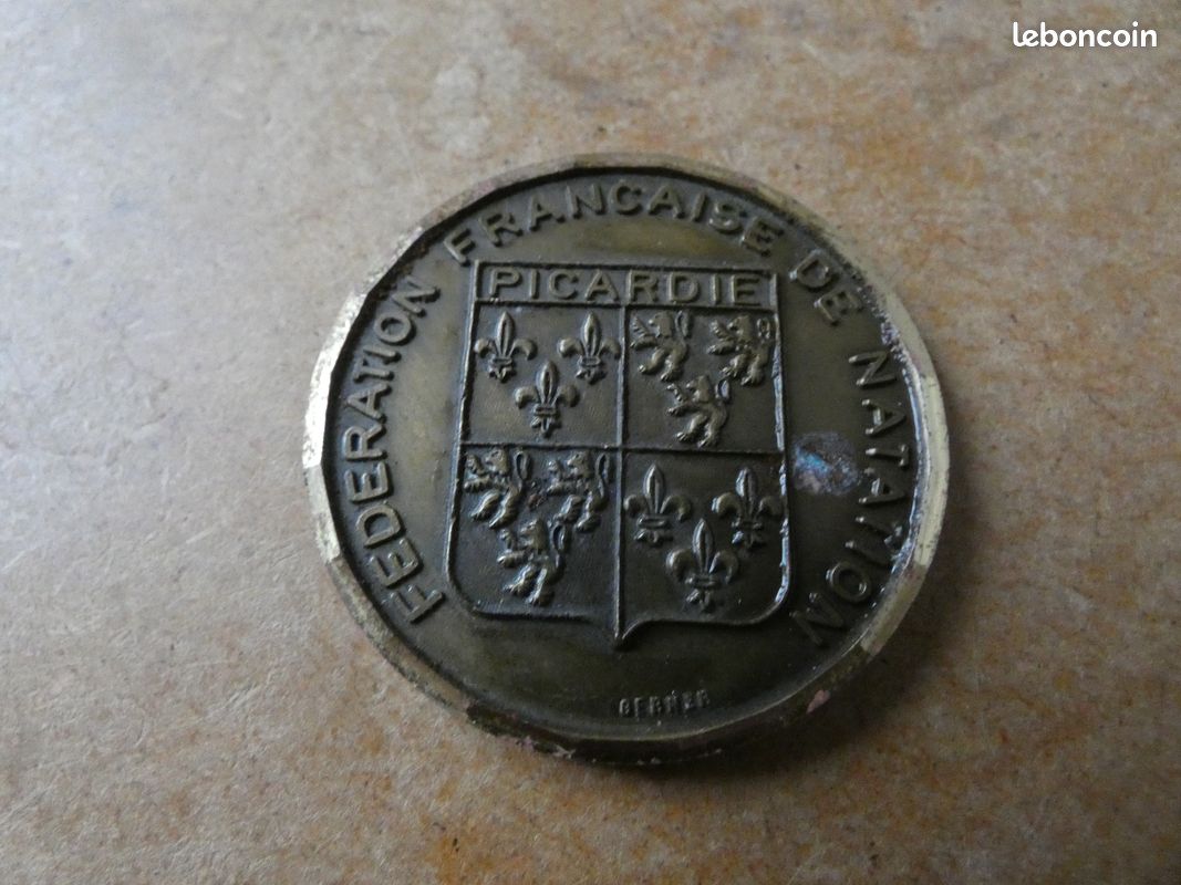 Médaille Brevet Scolaire FFN - Fédération Française De Natation, Argent Plaqué