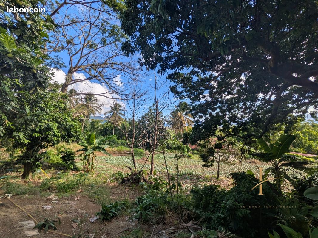 Villa 16 pièces 380 m² (image 20)