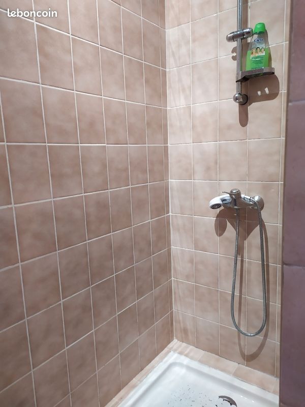 Location maison Grand F 3 avec jardin - Espoey 64420 (image principale 7)