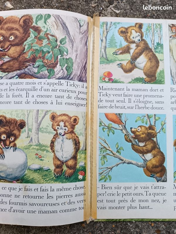 Maman ours et son petit (image 3)