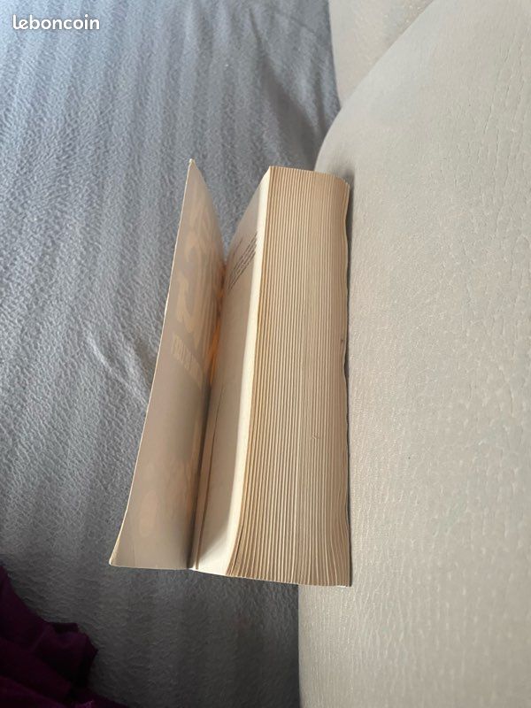 Livre de Stephen King : Histoire de Lisey (image 3)