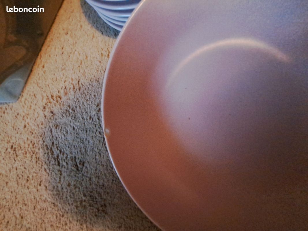 Lot assiettes rose pale (image 3)