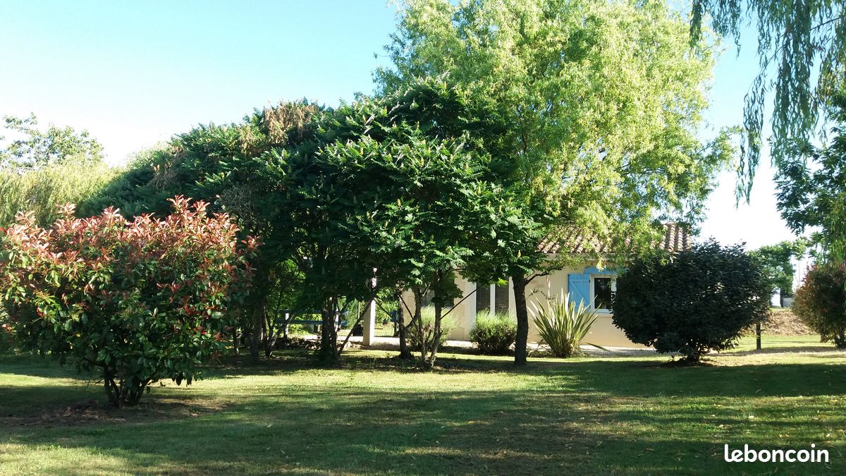 Montréal du Gers Gîte Jonquille (image 2)