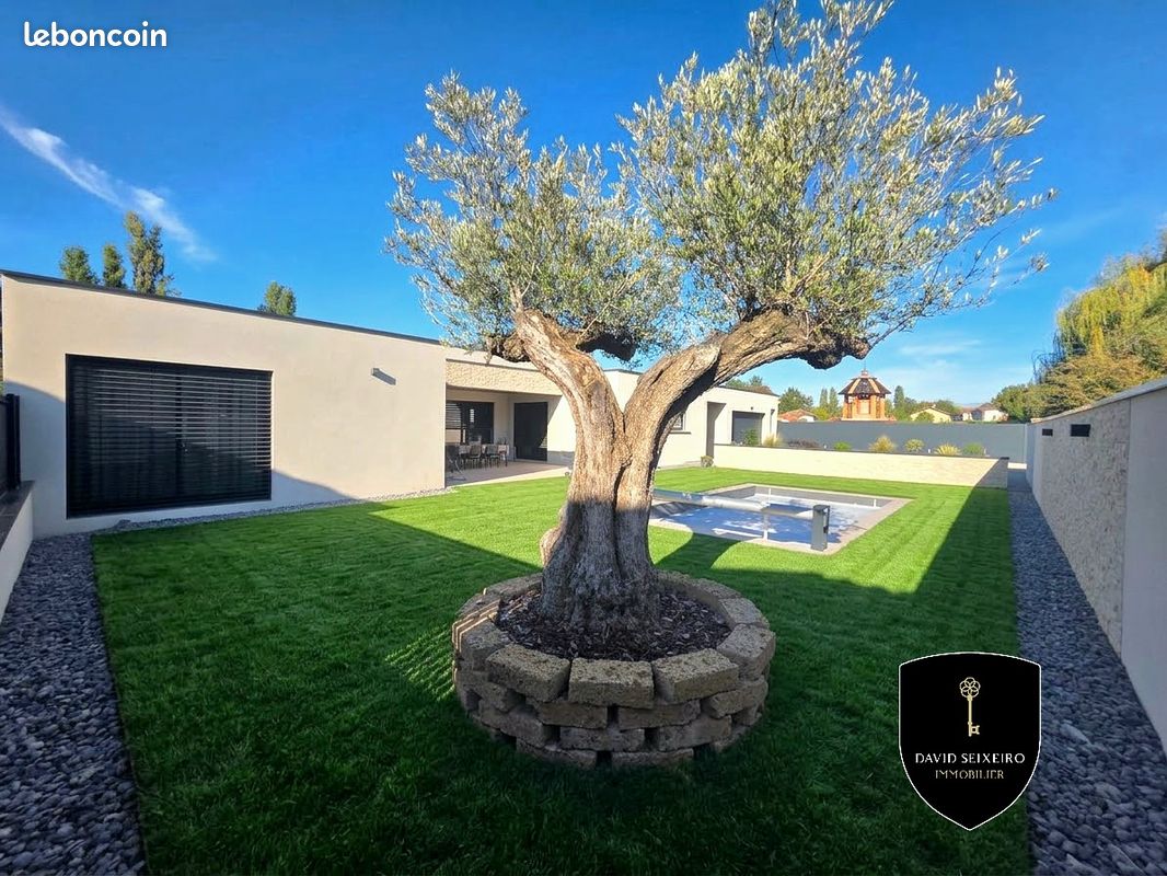 Maison 10 pièces 224 m² · à Frans · 224 m² · 740 000 €