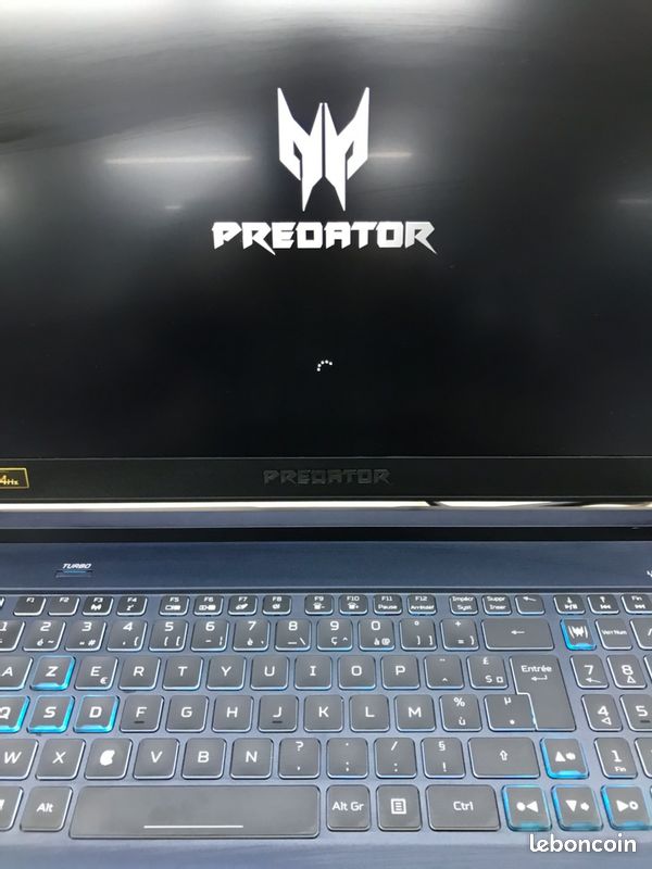 Acer predator (image 1)