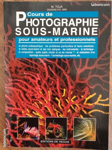 Cours de photographie sous marine (image 1)