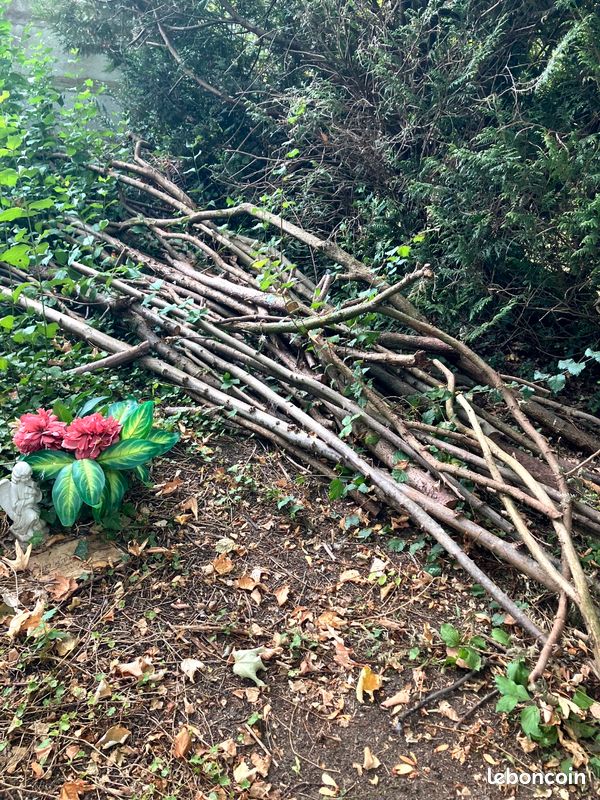 Branches en bois (image 1)