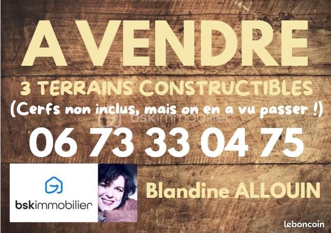 Terrain 4700 m² · à La Ferté-Saint-Cyr · 116 100 €