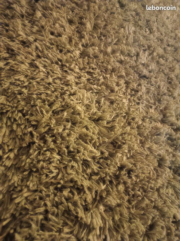 Tapis vert (image 2)