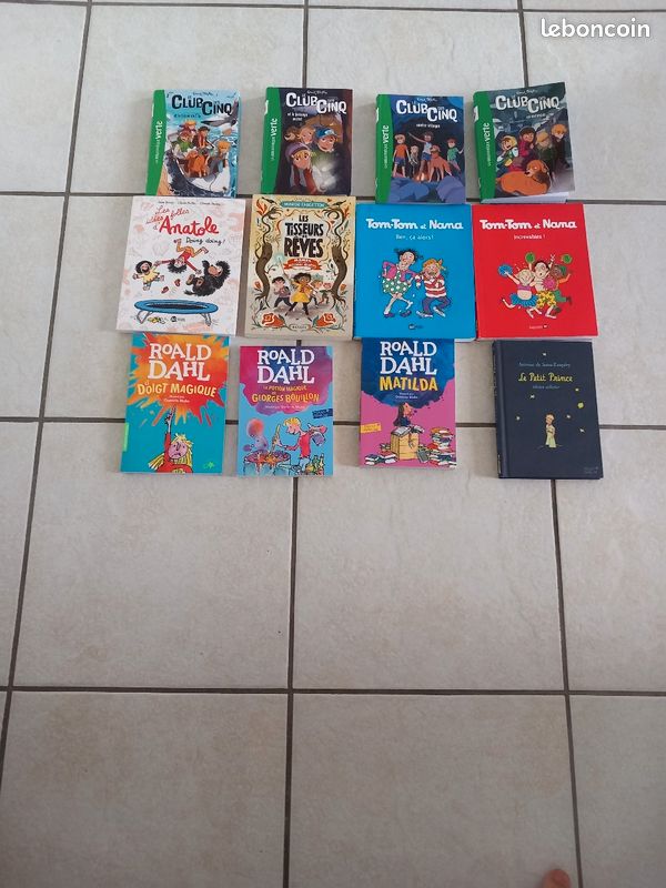 Lot de livres enfants et ados roman et bd (image 1)