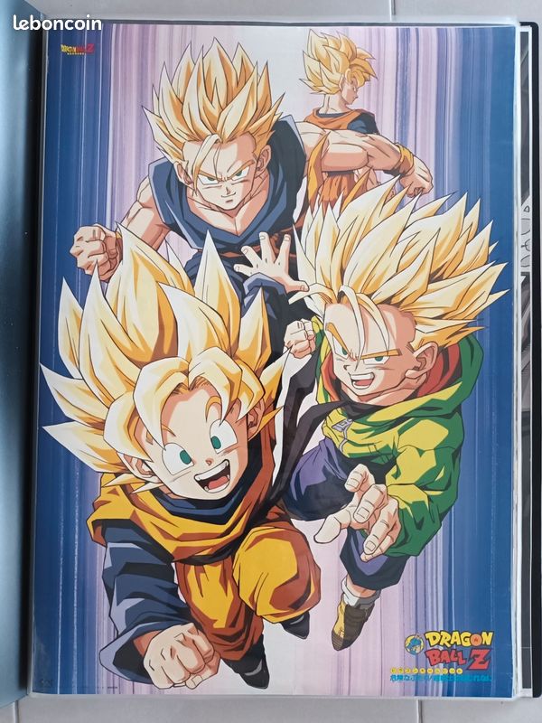 Poster, affiche The incredible Broly | Cadeaux et merch