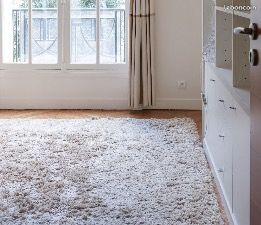 Tapis Diacasan soie végétale 240×280 cm (image 1)