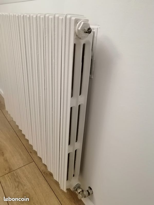 Radiateur et éléments en fonte (image 3)