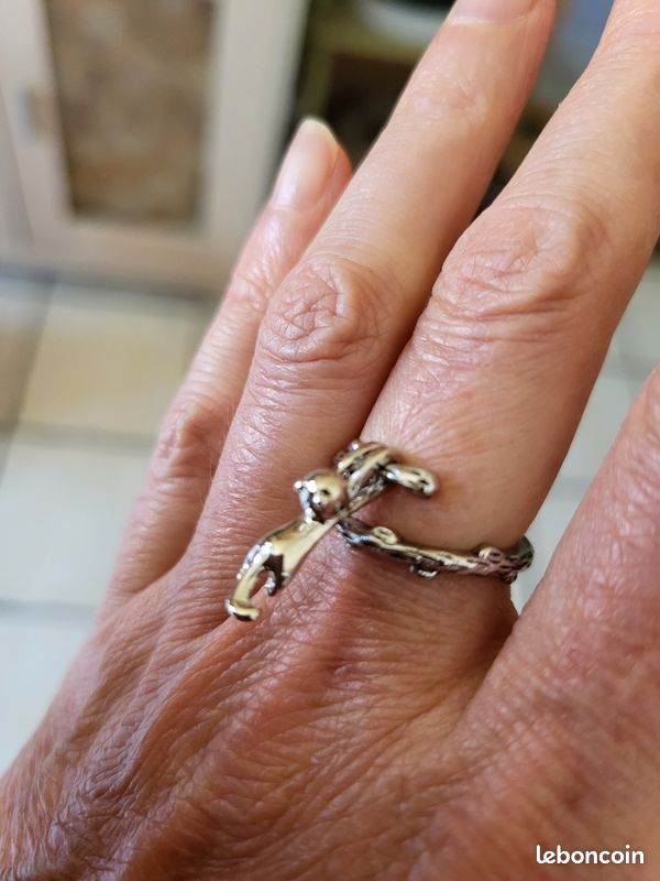 Bagues Fantaisie Bague Pour Chat Bijoux Fantaisie à Euros Pièce