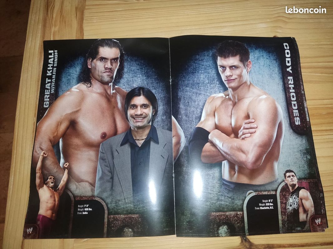 Wwe Official Souvenir Program 2010 | Meses sin interés