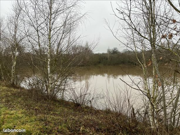 Terrain 90 000 m² Saint Desire