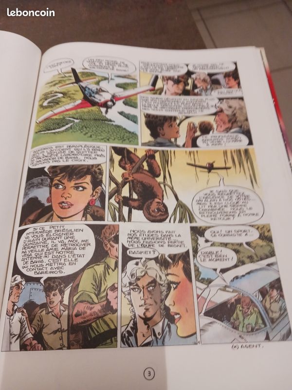 Bd (image 4)