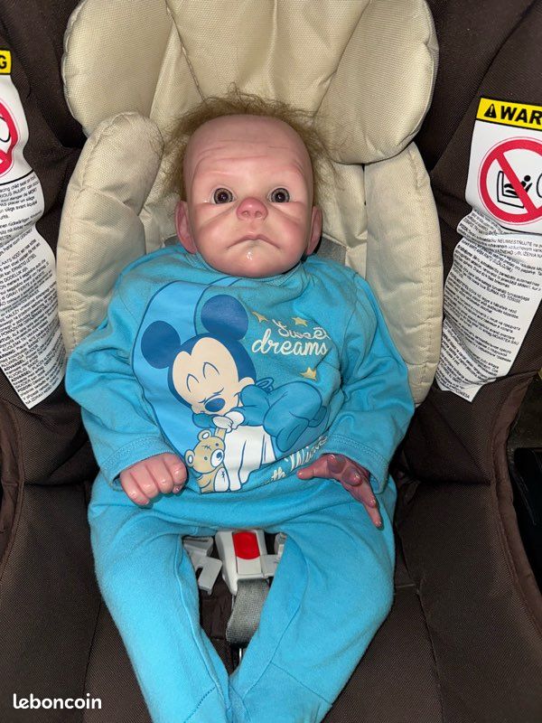 Bébé reborn (image 2)