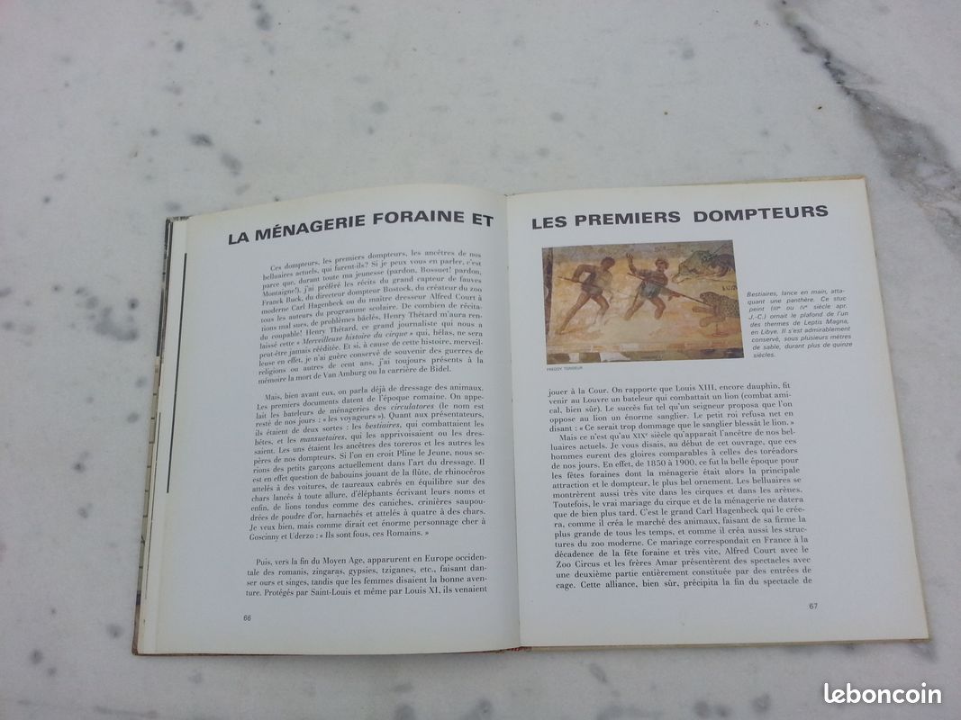 Envoyez les lions Ou le métier de dompteur (image 12)