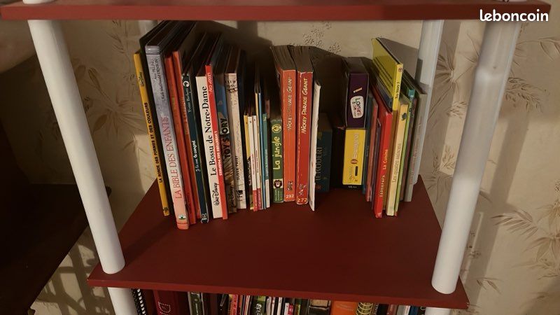 Livre de tout genre (image 2)