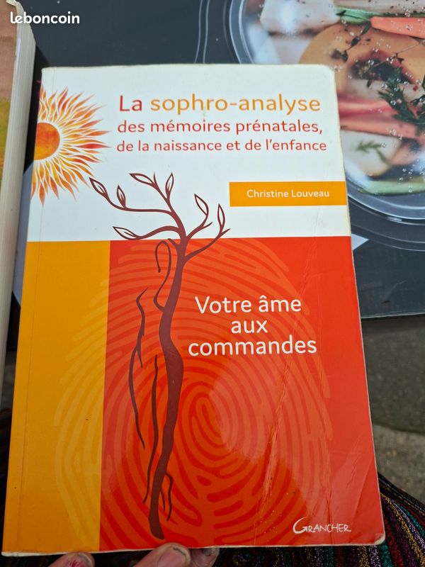 La sophroanalyse des mémoires prénatales, de naissance et de l'enfance (image 1)