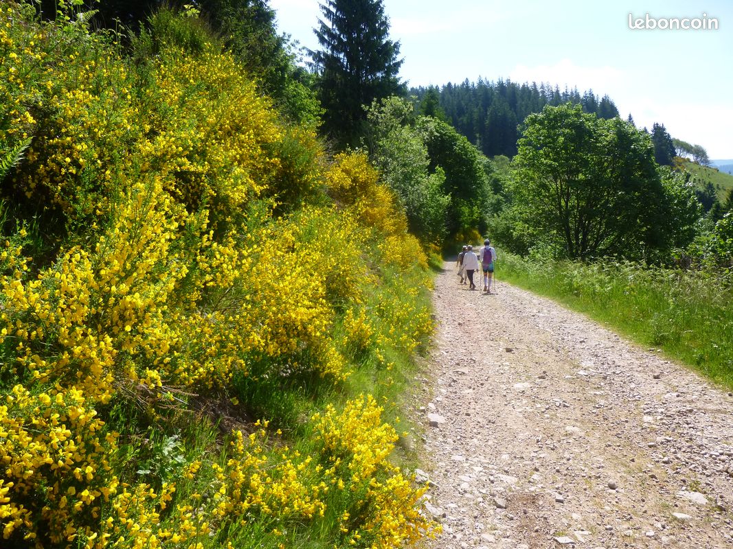 Chalet sympa Hautes Vosges (image 7)