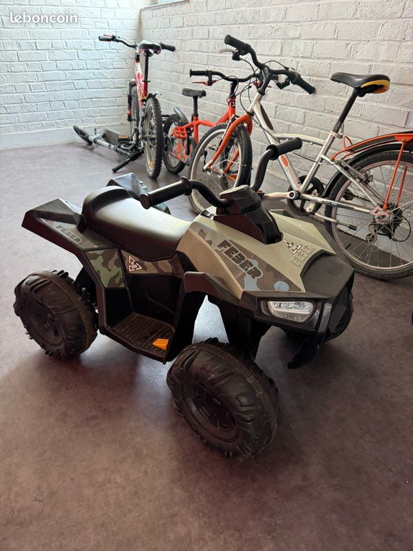 Quad boxer feber (image 1)