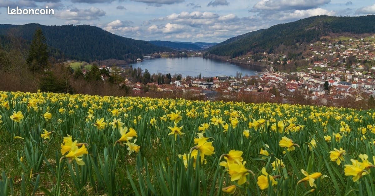Location saisonnière de vacances Gérardmer (image 2)