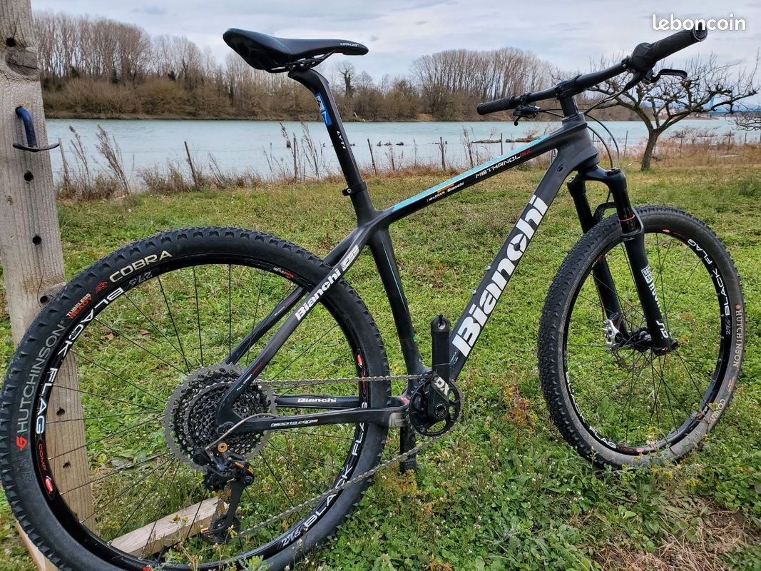 Bianchi methanol (image 1)