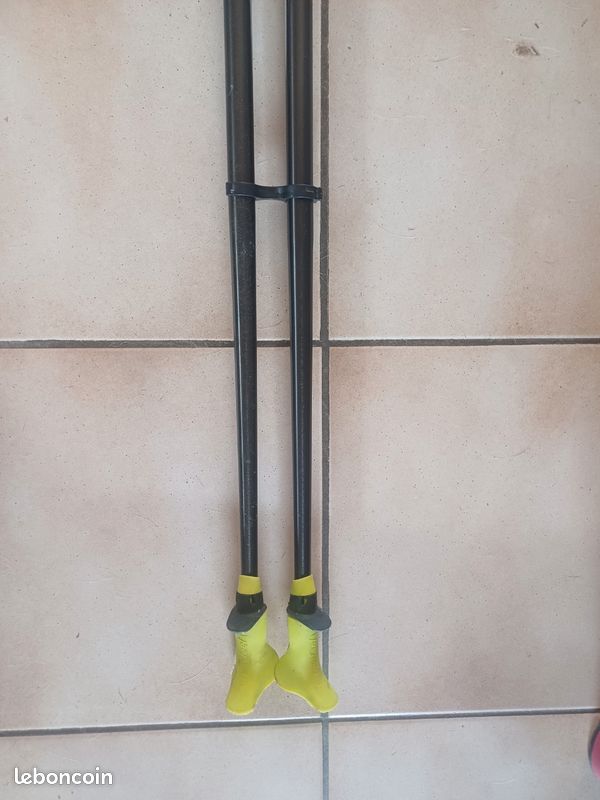 Baton de marche (image 3)