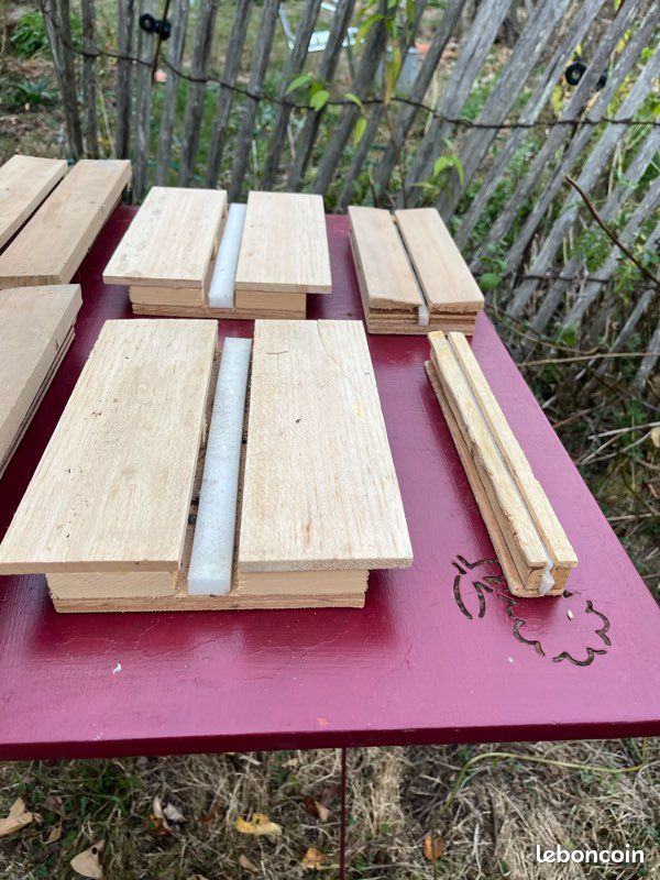 Lot d’étaloirs à papillons (image 3)