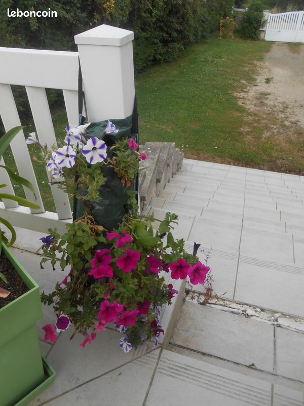 Lot 2 sacs suspension cascade fleurs (image 2)