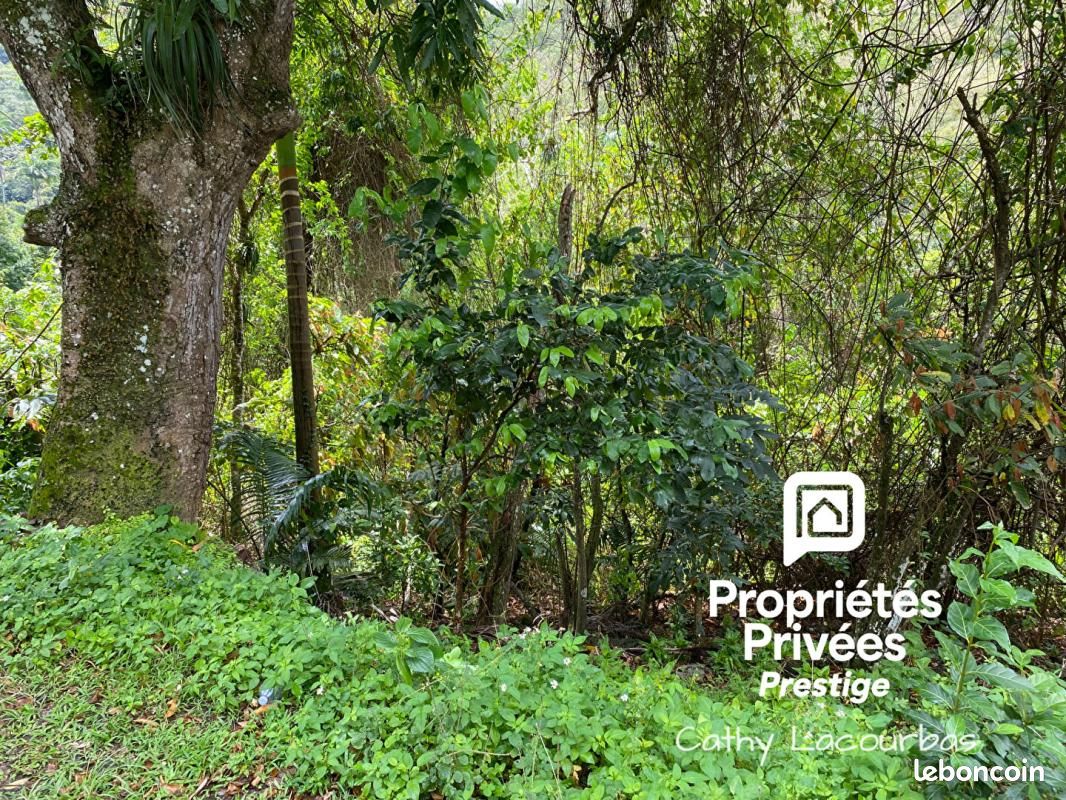 Terrain 4000 m² · à Pointe-Noire · 356 000 €