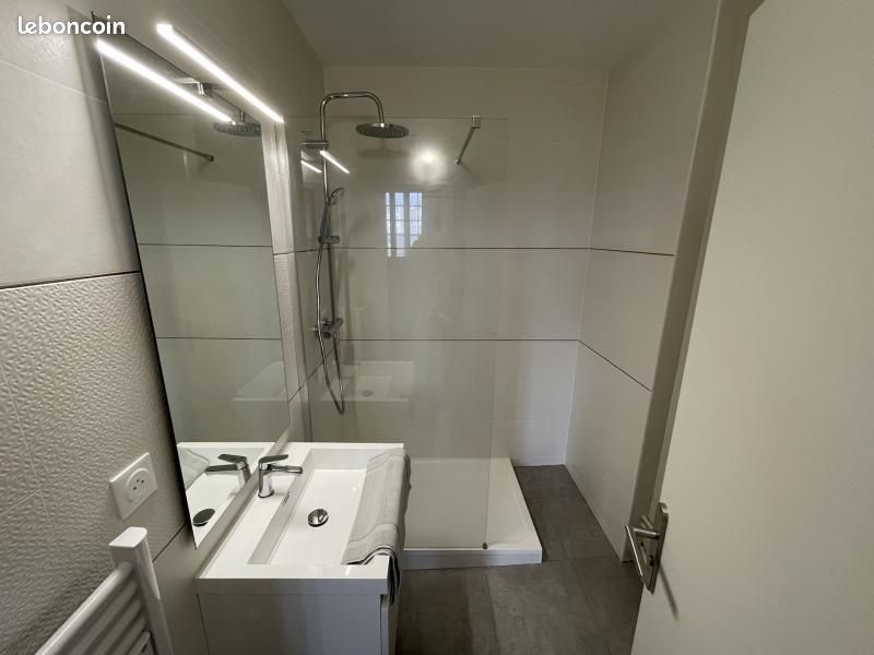 Appartement 1 pièce 38 m² - Limoges 87000 (image principale 4)