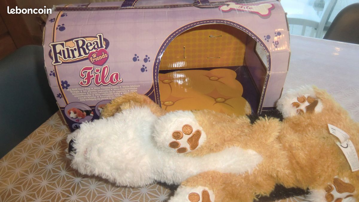 Chien filo fureal (image 3)