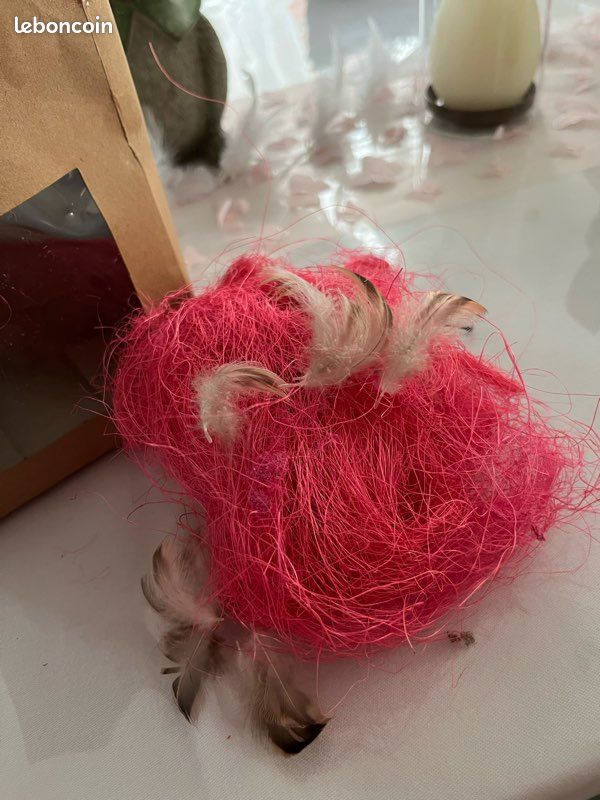 Déco de Pâques - paille décorative rose fuschia & plumes (image 2)