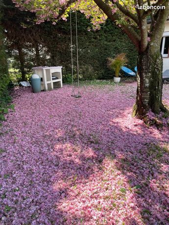 Maison a louer drancy - 4 pièce(s) - 71 m2 - Surfyn