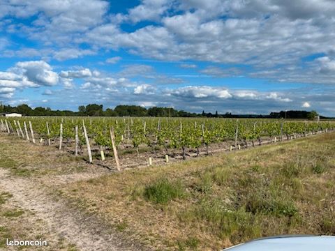 Terre agricole (image 1)