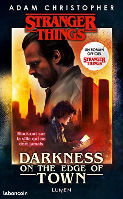 Livre stranger things (image 1)