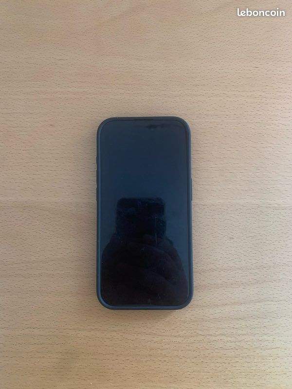 IPhone pro Max 256go (image 1)