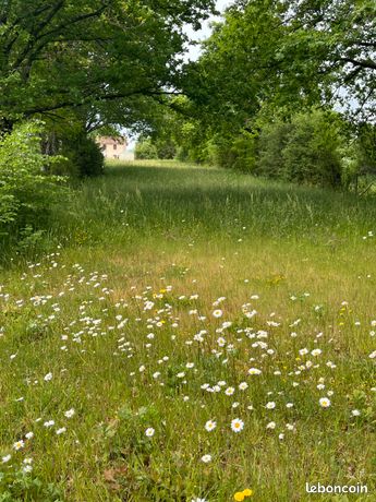Terrain à vendre