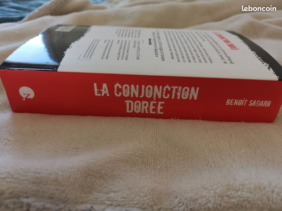 Roman thriller "La conjonction dorée“ prix femme actuelle 2020 (image 4)