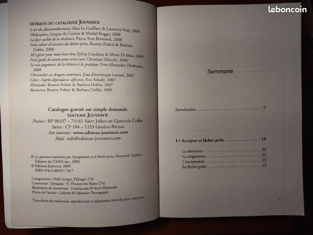 La guérison intérieure par l'acceptation et le lâcher-prise (image 3)