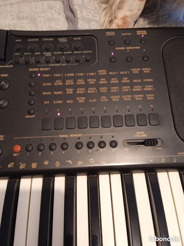 Clavier technics KN1000 (image 4)