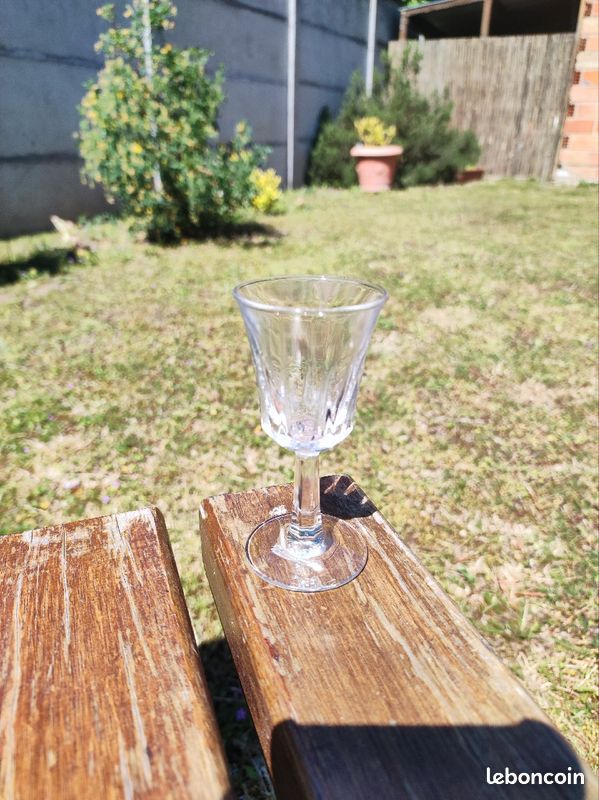 61 verres de liqueur (image 2)